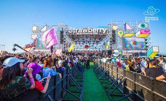 草莓音乐节吃瓜,一场吃瓜群众的狂欢盛宴