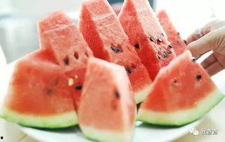 死亡吃瓜,揭秘网络暴力的暗黑面