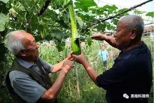 吃瓜砍人,揭秘娱乐圈背后的真实故事