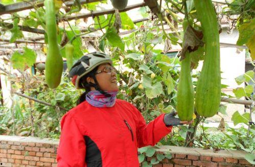 吃瓜砍人,揭秘娱乐圈背后的真实故事