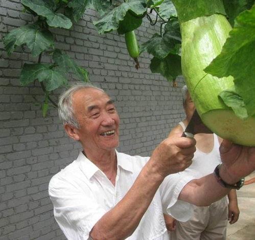 吃瓜砍人,揭秘娱乐圈背后的真实故事