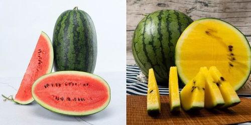 023吃瓜,盘点那些年我们一起吃过的瓜