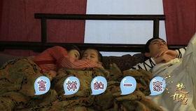 吃瓜群众小明星,揭秘娱乐圈的“瓜田”趣事