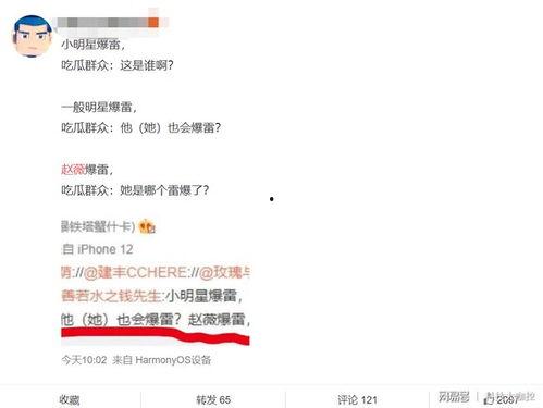 吃瓜群众小明星,揭秘娱乐圈的“瓜田”趣事