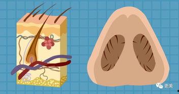 q群吃瓜群,网络社交的另类风景