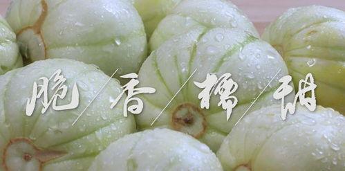 吃瓜亭藤萝,探寻夏日消暑的绿色秘境