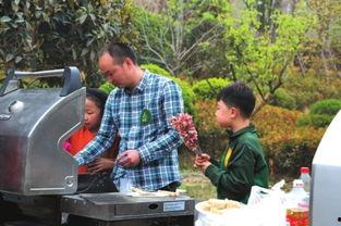 柳如烟系统吃瓜,揭秘虚拟世界中的吃瓜盛宴