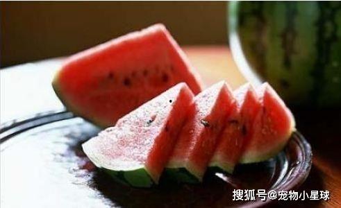 路过瓜地吃瓜,一场意外的甜蜜邂逅