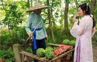 路过瓜地吃瓜,一场意外的甜蜜邂逅