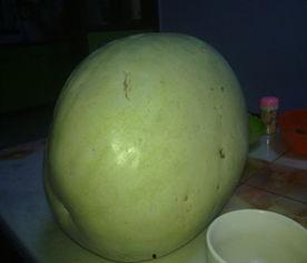 拉肚子吃白瓜吗,白瓜是缓解不适的天然良药