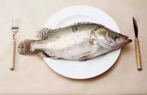 吃八瓜鱼毁容,一场美食盛宴背后的毁容悲剧