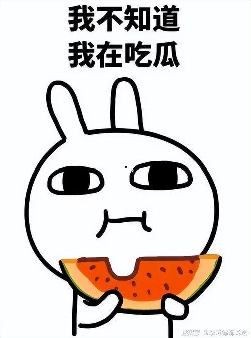 嗷大猫吃瓜图片