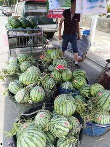 岳池相亲吃瓜事件,一场吃瓜群众的围观与反思