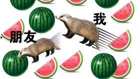 没有热搜的一周吃瓜了,没有热搜的吃瓜时光