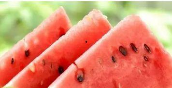 吃瓜重度患者,吃瓜群众的狂欢盛宴