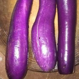 甲亢可以吃茄瓜吗