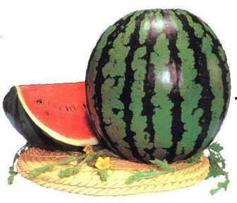 吃瓜的影响,揭秘网络舆论的蝴蝶效应