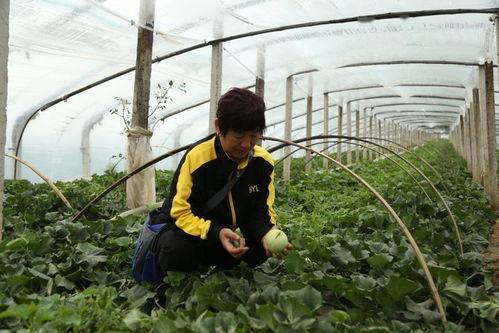 莱西消防吃瓜,趣味互动传递消防安全知识