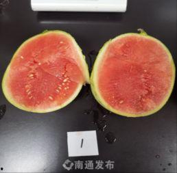 南通直播吃瓜,一场全民参与的美食盛宴