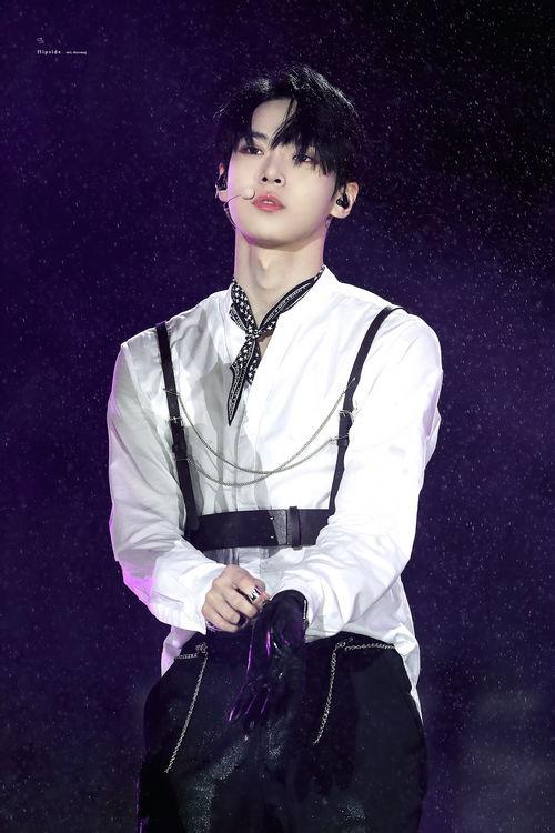 金道英吃瓜,揭秘娱乐圈背后的秘密与八卦