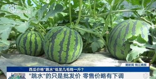 超级吃瓜网站,超级吃瓜网站带你领略明星幕后故事