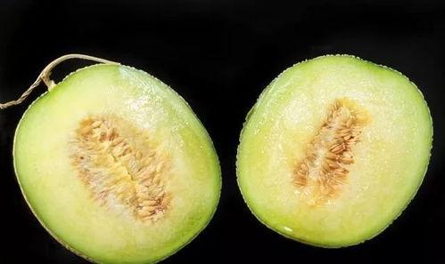 为什么吃瓜会撑,营养与消化奥秘大公开