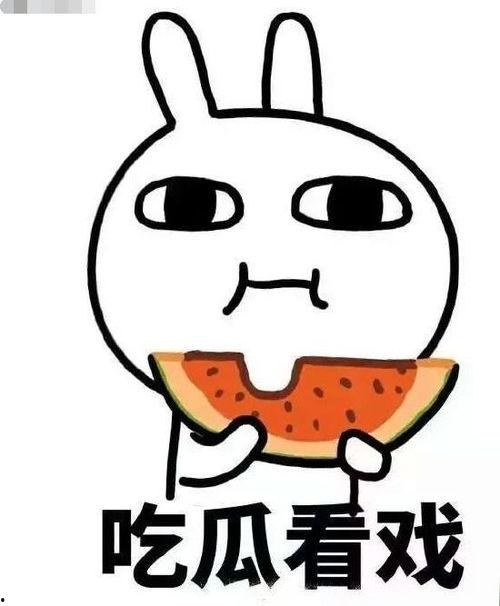 杀个瓜吃,一场别开生面的杀瓜盛宴