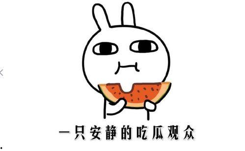 吃瓜事件黑料吃瓜网站,黑料事件背后的真相与争议