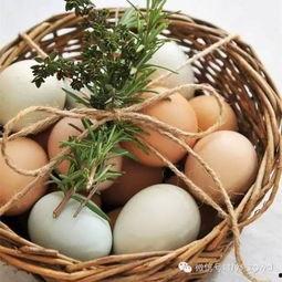 鹿月俱乐部吃瓜