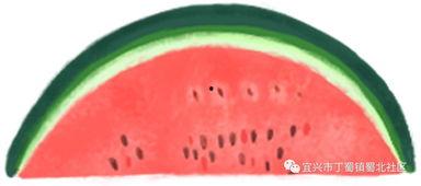 吃瓜活动感想,一场别开生面的吃瓜活动感悟