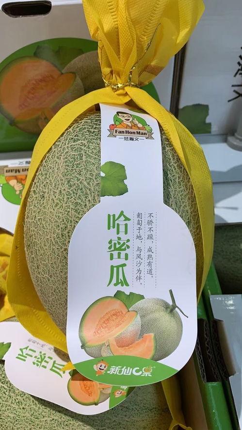 吃瓜品牌鉴赏,品味瓜界潮流与品质