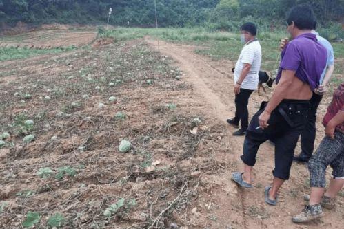 公安警花吃瓜,揭秘警界幕后故事