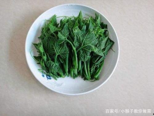 7个月宝宝吃佛手瓜好吗,佛手瓜的营养与适宜性解析