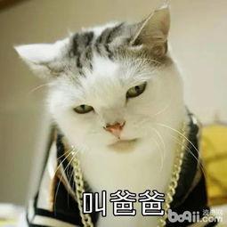 吃瓜开饭啦,揭秘娱乐圈幕后故事