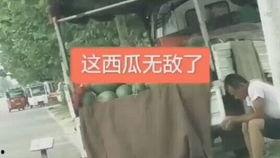 吃瓜父责任,揭秘网络舆论背后的家庭伦理与道德困境