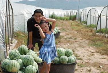 广西碧桂园吃瓜,吃瓜群众见证的社区生活百态