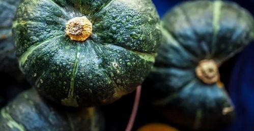 吃瓜视频真可怕,网络舆论背后的真相与反思