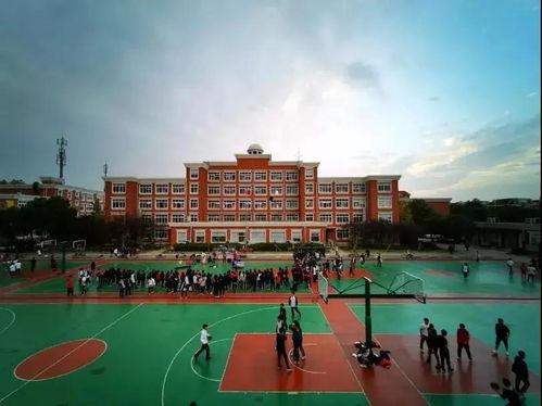 吃瓜恩施职院,揭秘校园热点背后的真相