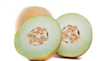 哈密瓜怀孕期间可以吃么,美味与营养的双重享受