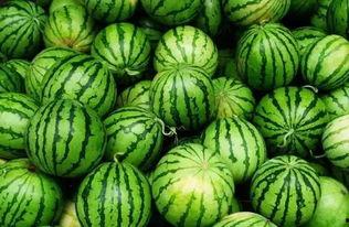 481145吃瓜群,一场网络热议的狂欢盛宴