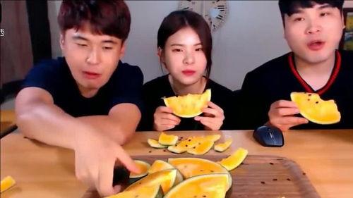 吃瓜聚餐,一场别开生面的吃瓜聚餐盛宴