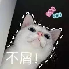 饭圈用什么吃瓜,揭秘明星幕后，用“吃瓜”姿势解锁娱乐圈真相