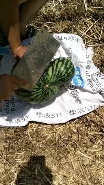 蓝家大哥吃瓜,揭秘娱乐圈幕后风云