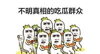 看热闹叫吃瓜,揭秘网络热点的背后故事