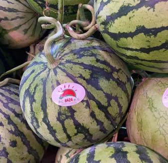 各平台吃瓜,各大平台吃瓜事件大盘点