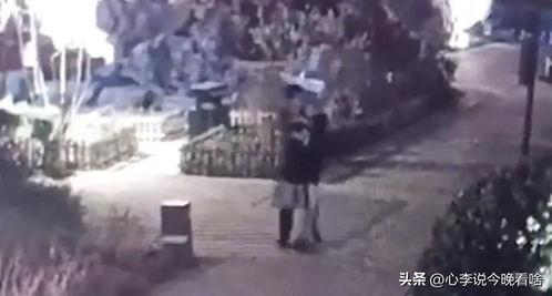 老街吃瓜事件,一场引发全民热议的街头风波