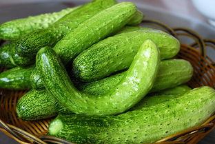 尚善堂吃瓜,吃瓜群众的欢乐盛宴