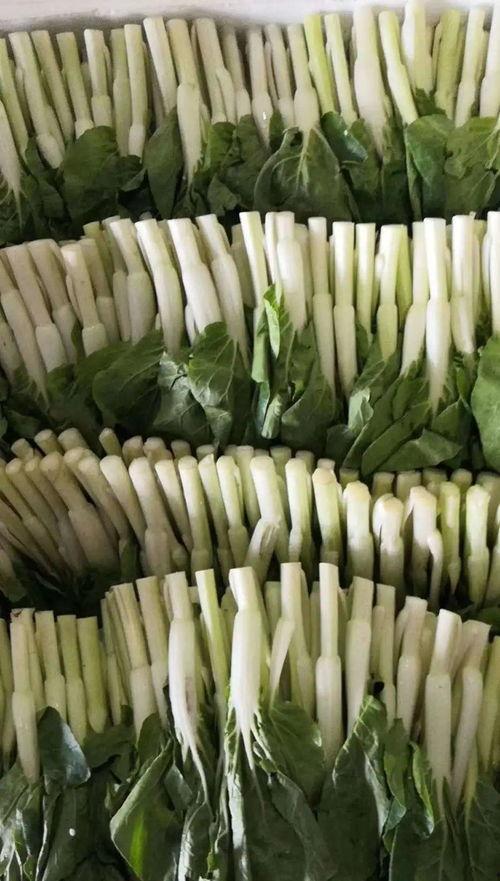 吃瓜团陂,一场网络狂欢背后的故事