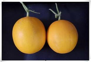 济南平阴吃瓜,济南平阴的清凉夏日体验