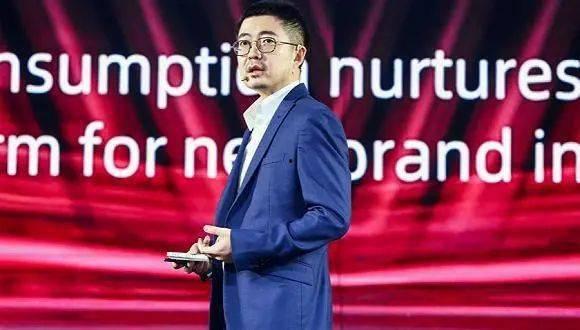 蒋凡吃瓜大戏,揭秘电商巨头背后的权力斗争